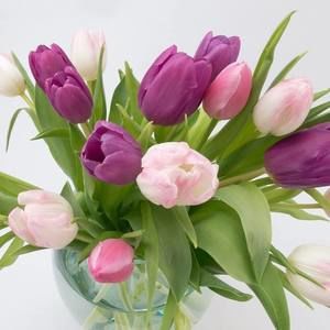 Meet your Posher, Kaza